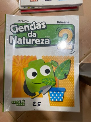 Lote libros Primaria