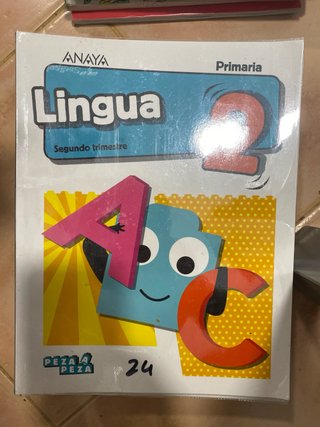 Lote libros Primaria