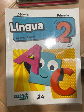 Lote libros Primaria