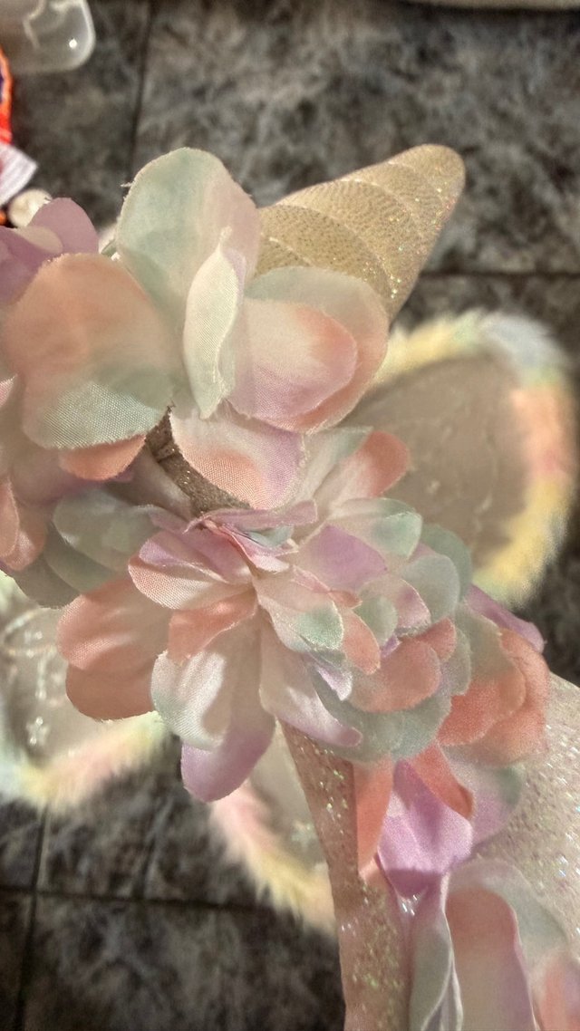 Alas mariposa y diadema unicornio