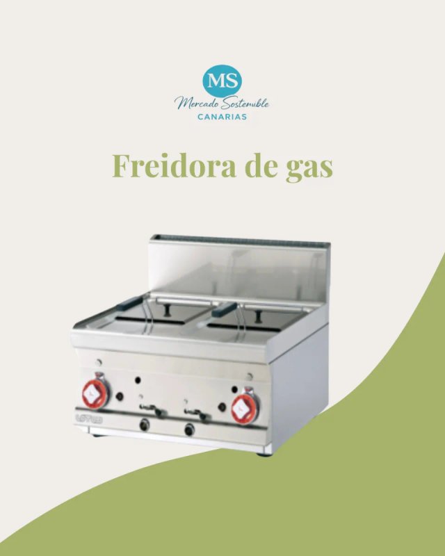 Freidora doble a gas