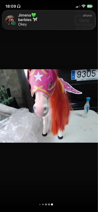 Nancy y su caballo Funtastic