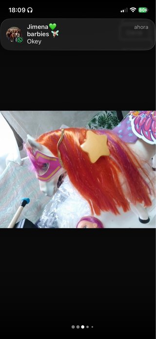 Nancy y su caballo Funtastic