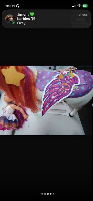 Nancy y su caballo Funtastic