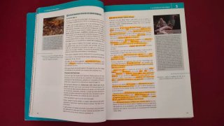 Història de la filosofia 2 BAT