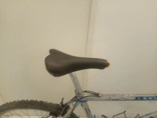 Bicicleta de Montaña