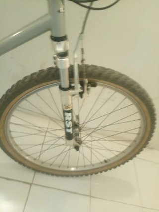 Bicicleta de Montaña
