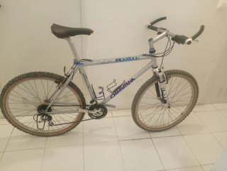 Bicicleta de Montaña