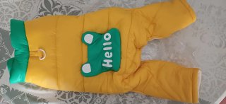 Abrigo para perro Petsin talla L