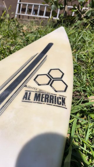 Tabla Surf Channel Islands Al Merrick Fever