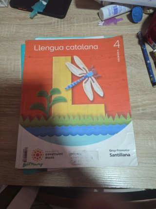 LLENGUA CATALANA 4 PRIMARIA CONSTRUINT MONS