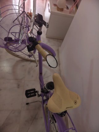 Bicicleta Paseo Morada Cesta