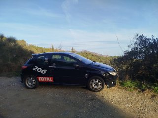 Peugeot 206 2000