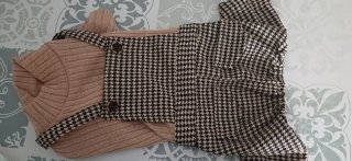 Traje para perro pequeño