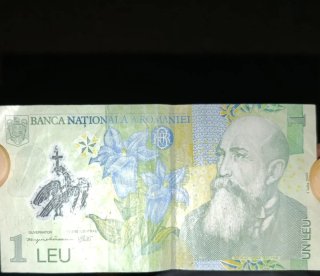 Billete de 1 Leu Rumano 2005