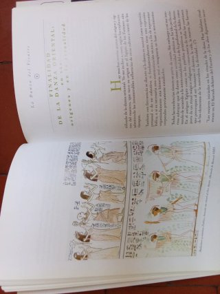Libro "La danza del vientre" de Techi León