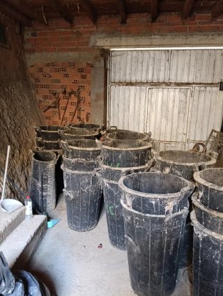 30 cubos para recolectar uva