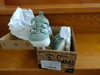Zapatos feroz - Canet Rocker Mint T.27