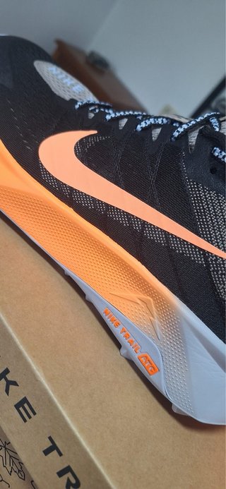 Nike Reactx Wildhorse 10
