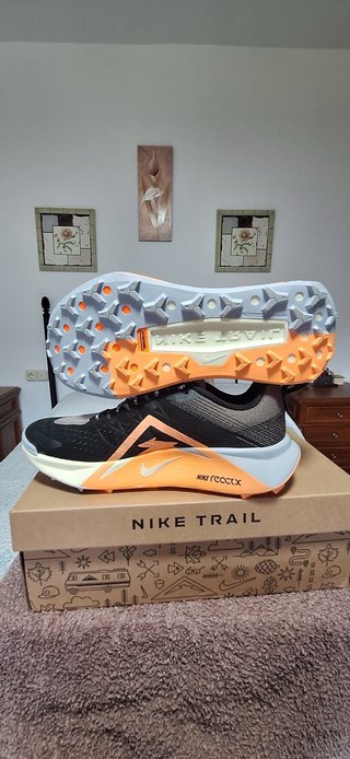 Nike Reactx Wildhorse 10