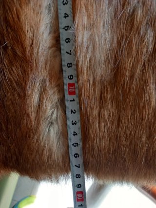 Chaquetón
