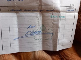 Chaquetón