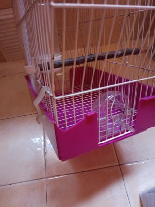 Jaula para pájaros blanca y rosa