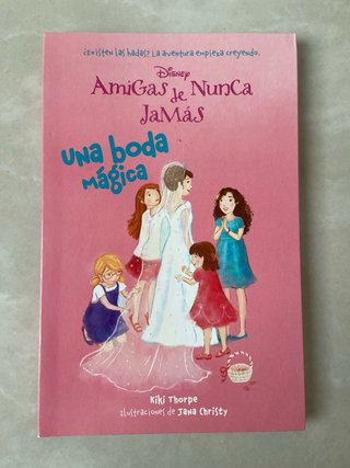 Pack 6 Amigas de Nunca Jamás Disney