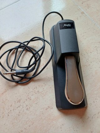 Pedal Piano Mugig