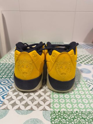 Nike LeBron Witness IX Amarillo/Negro