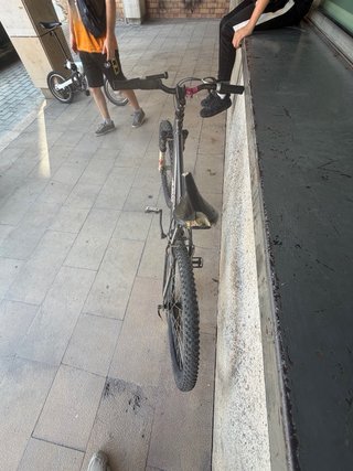 Bicicleta de Montaña