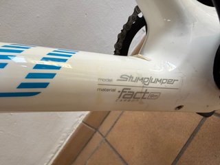 Bicicleta da Montagna 29' Carbonio Specialized Stumpjumper