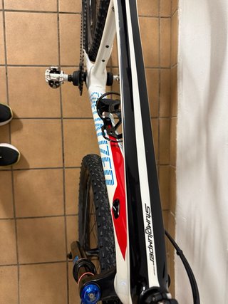 Bicicleta da Montagna 29' Carbonio Specialized Stumpjumper