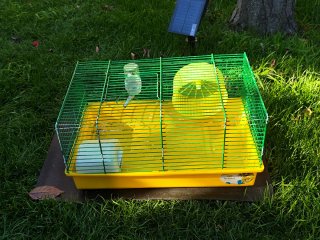 Jaulas para pájaros blanca