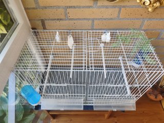 Jaulas para pájaros blanca