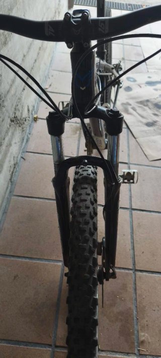 Bicicleta Felt 29 Aluminio Nine 80 Series