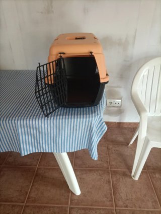 Transportín para perros
