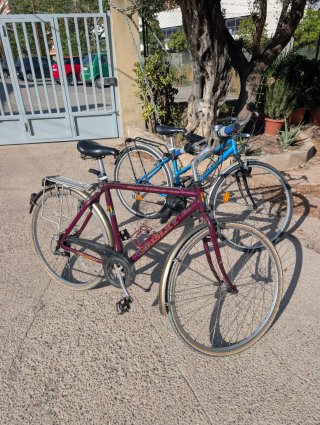 Lote 2 bicicletas paseo rueda grande