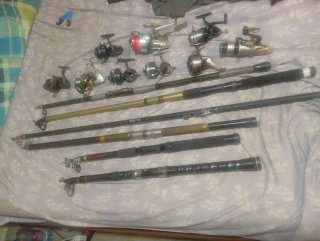 Lote cañas y carretes pesca