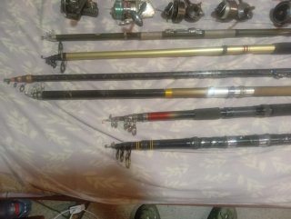 Lote cañas y carretes pesca