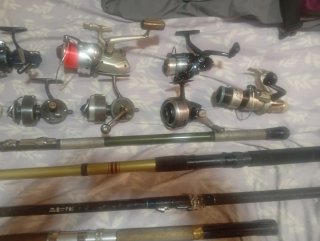 Lote cañas y carretes pesca