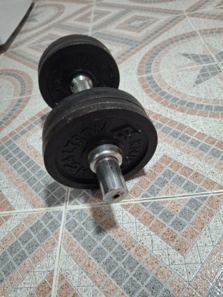 Pesas de gimnasio