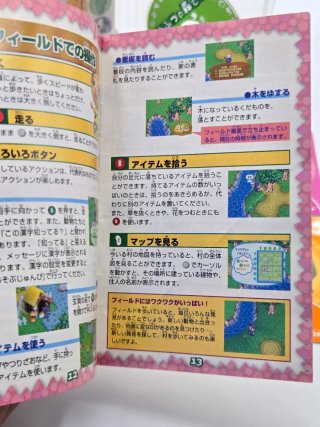 Animal Crossing E Plus Doubutsu no Mori e+ GameCub