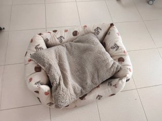 Cama para perro mediano