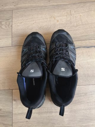 Salomon X Ultra (T 43'5) Pioneer GTX