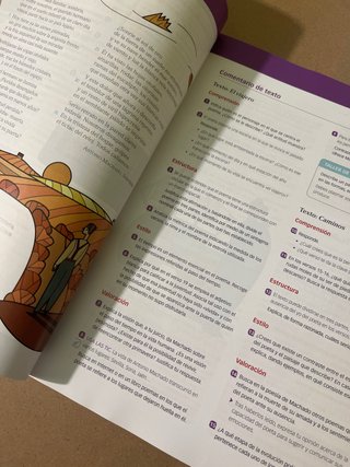 9788490470299 Lengua castellana y literatura 4 ESO