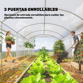 Invernadero Túnel 6x3x2m con 3 Puertas