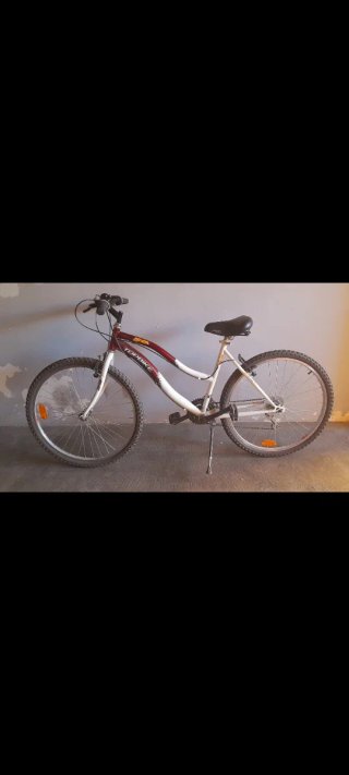 BICICLETA DE MONTAÑA TOPBIKE.