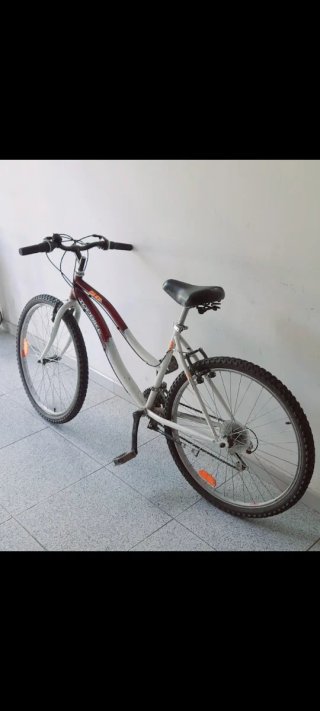 BICICLETA DE MONTAÑA TOPBIKE.