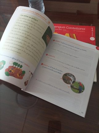 Lengua castellana, 1 Primaria un paso más : pauta